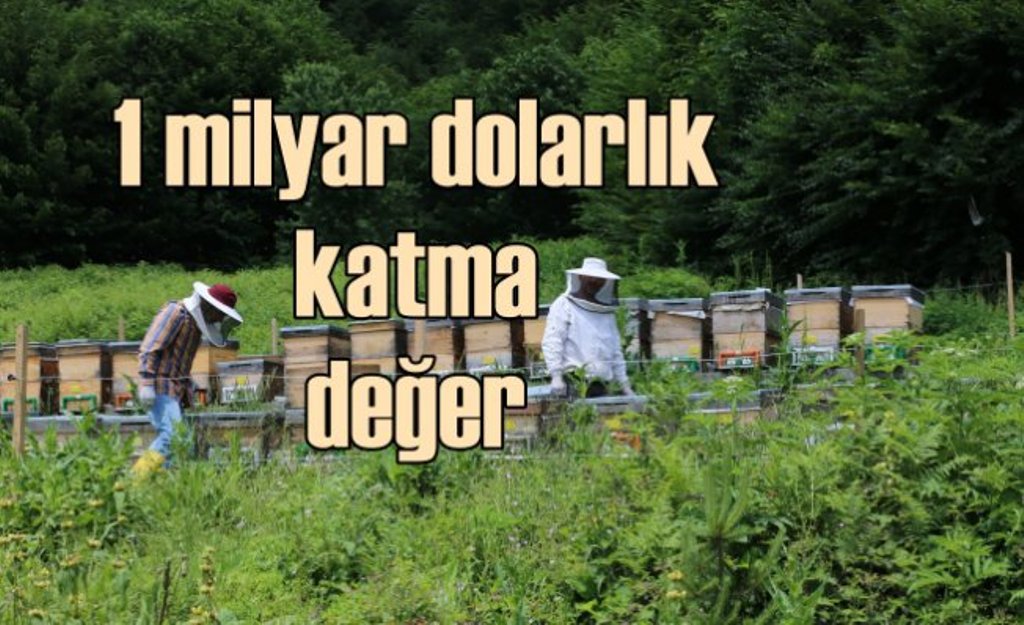 Bal üretiminden 1 milyar dolarlık katma değer