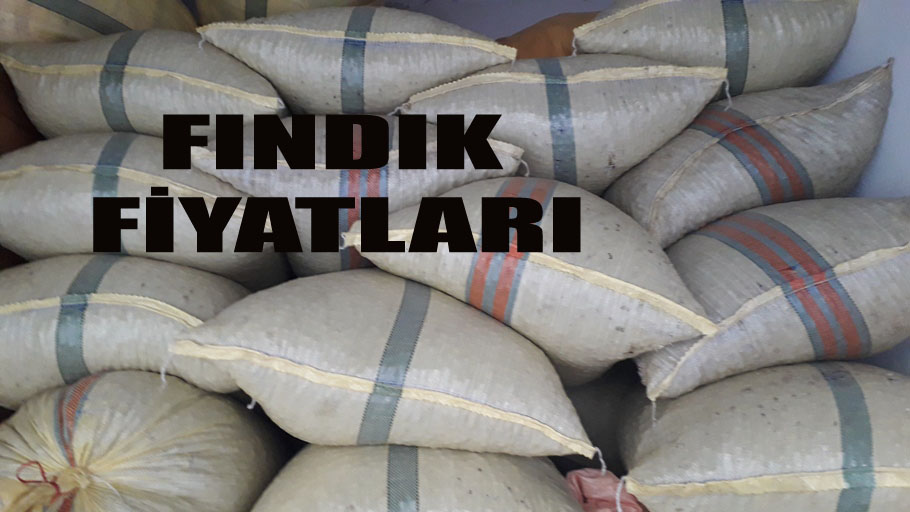 Doğankent'te Fındık kaç lira