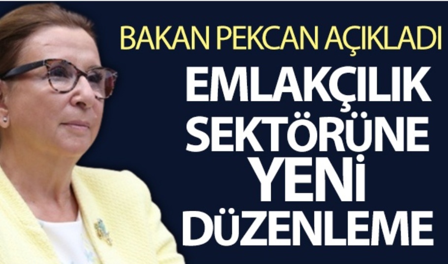 Emlakçılık Faaliyetlerine Yeni Düzen