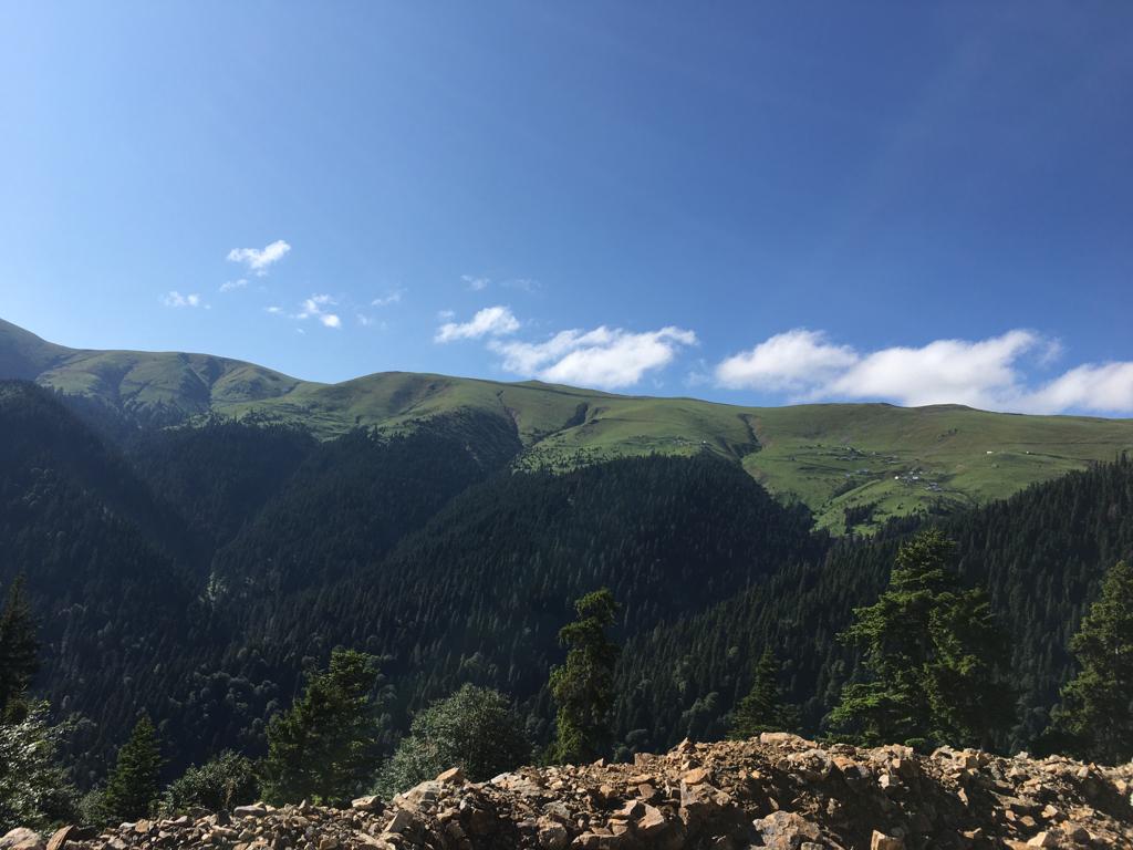 Yayla Resimleri-24