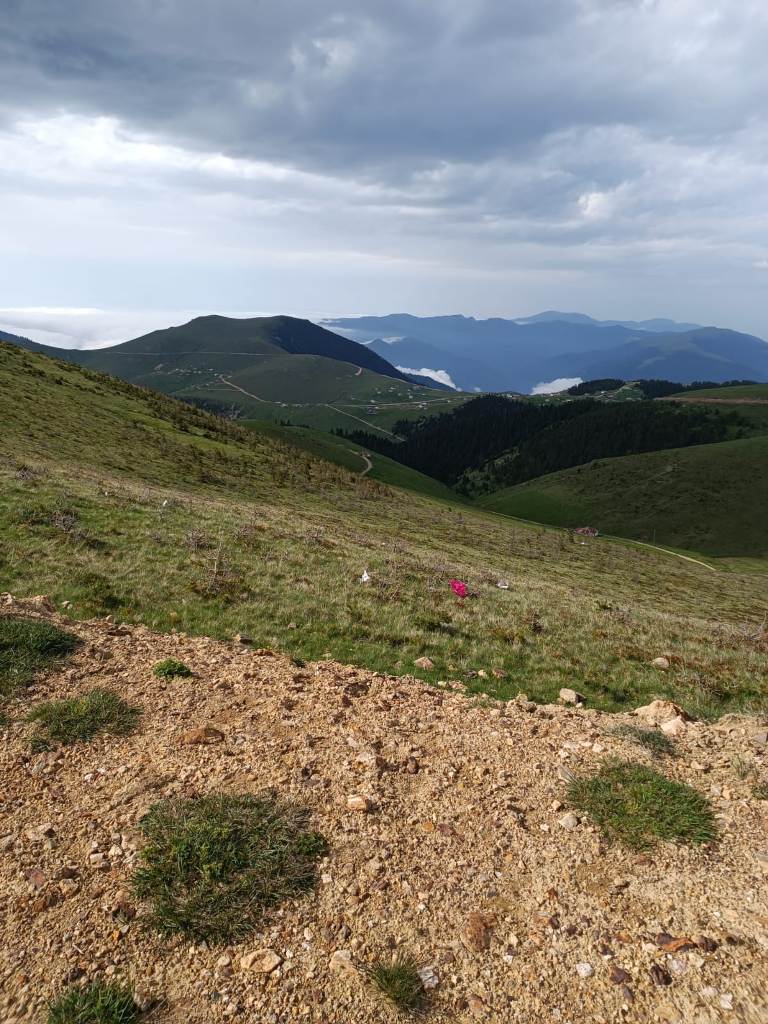 Yayla Resimleri-24