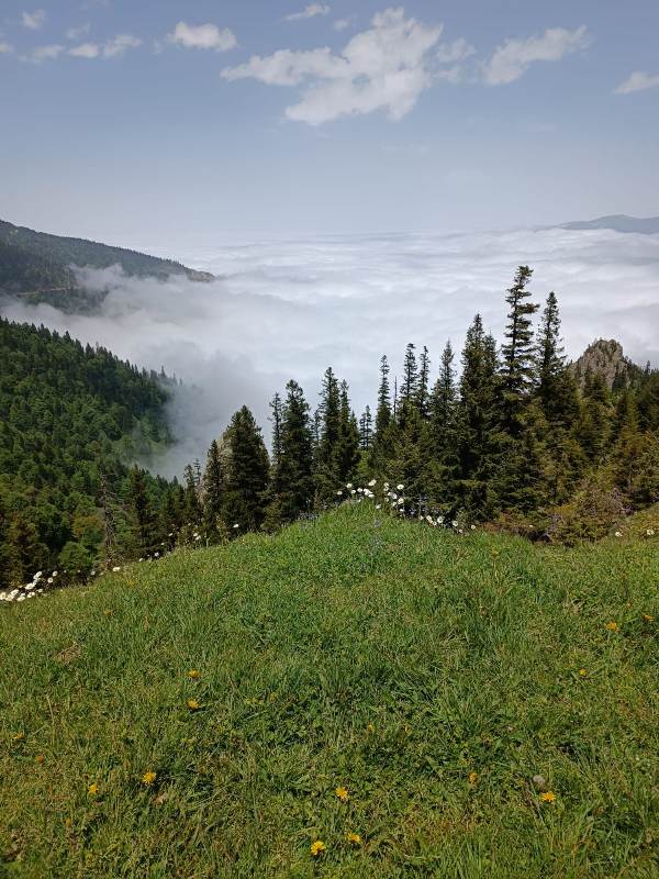 Yayla Resimleri-24