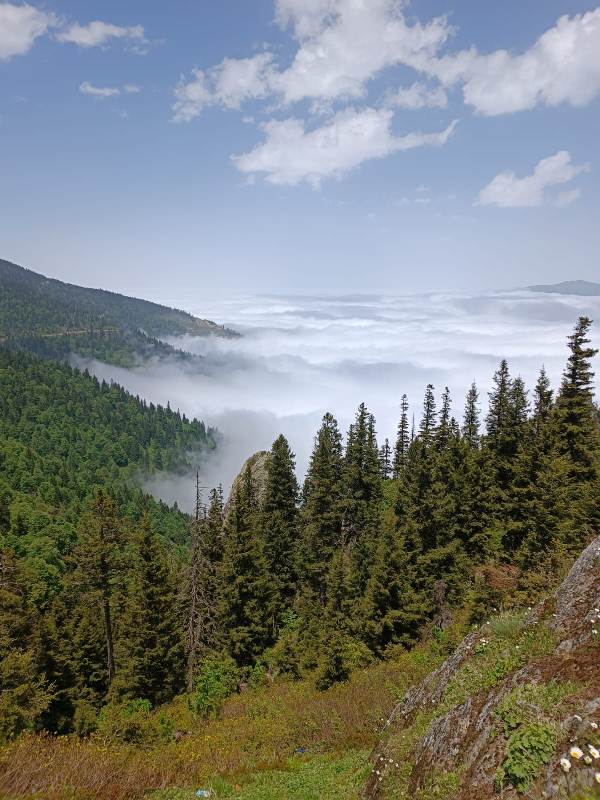 Yayla Resimleri-24