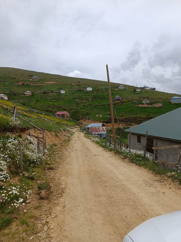 Yayla Resimleri-24