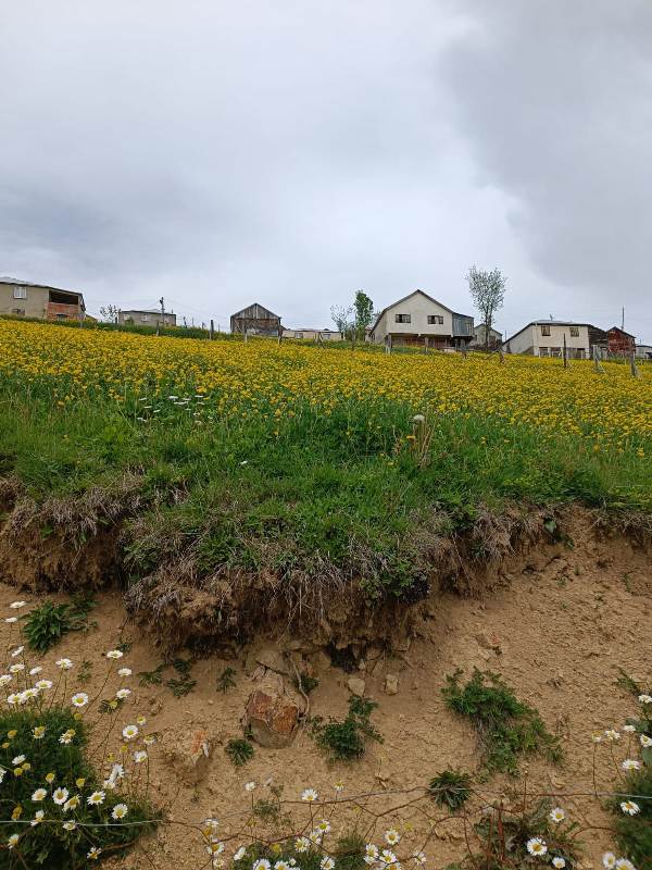 Yayla Resimleri-24