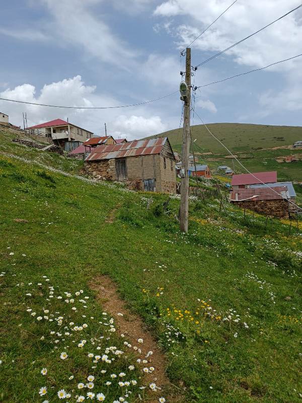 Yayla Resimleri-24