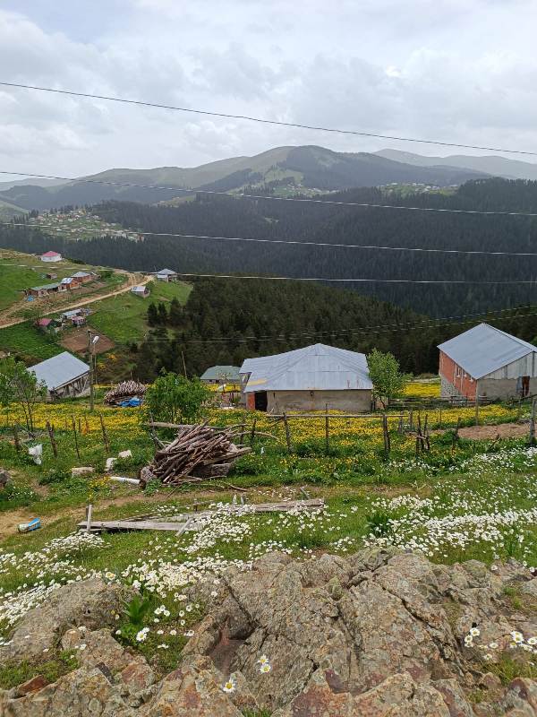 Yayla Resimleri-24