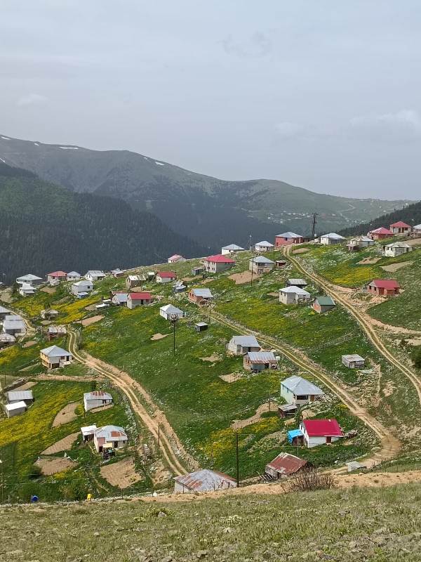 Yayla Resimleri-24