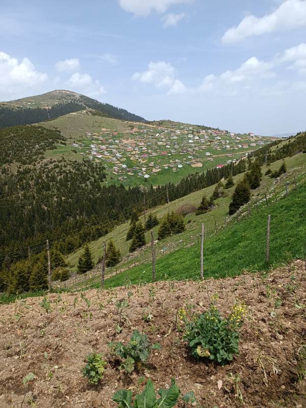 Yayla Resimleri-24