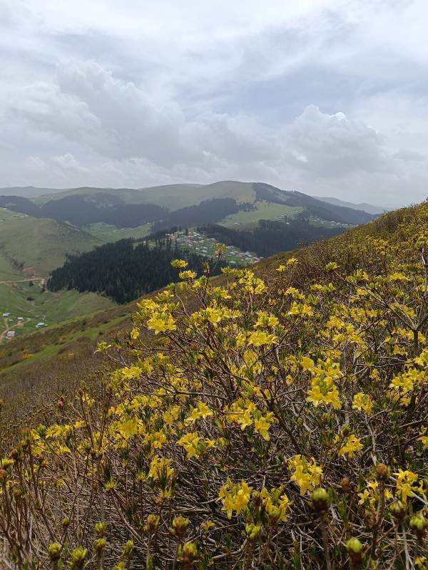 Yayla Resimleri-24