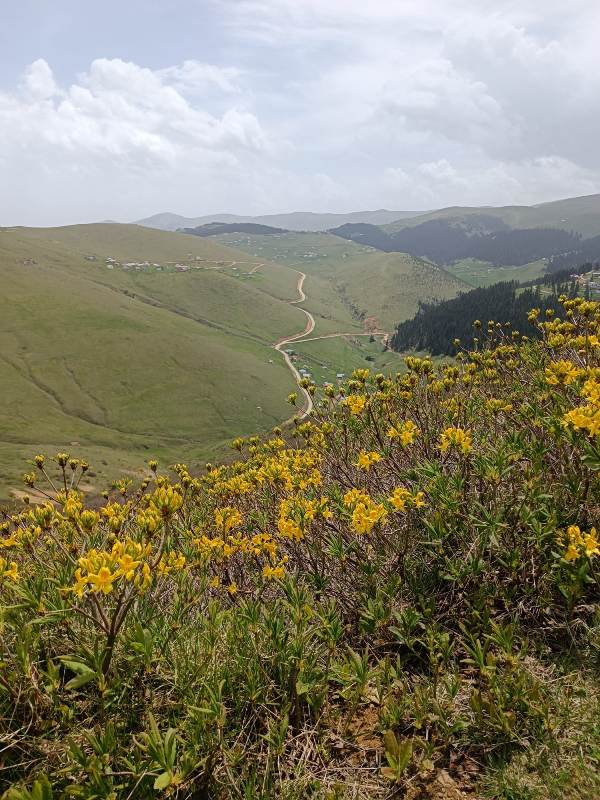 Yayla Resimleri-24