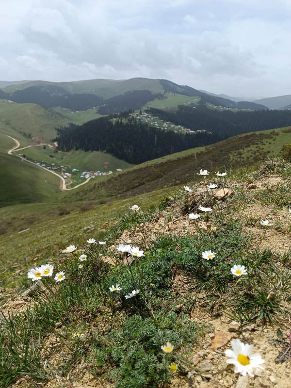 Yayla Resimleri-24