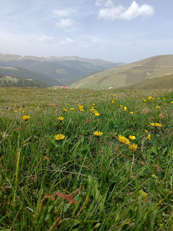 Yayla Resimleri-24