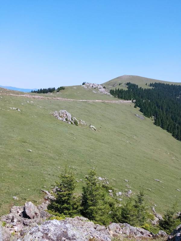 Yayla Resimleri-24