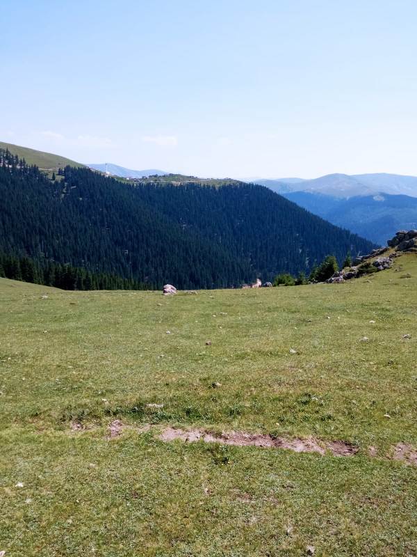 Yayla Resimleri-24