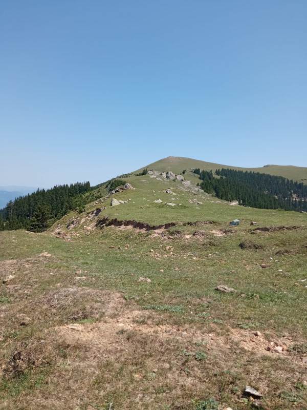 Yayla Resimleri-24