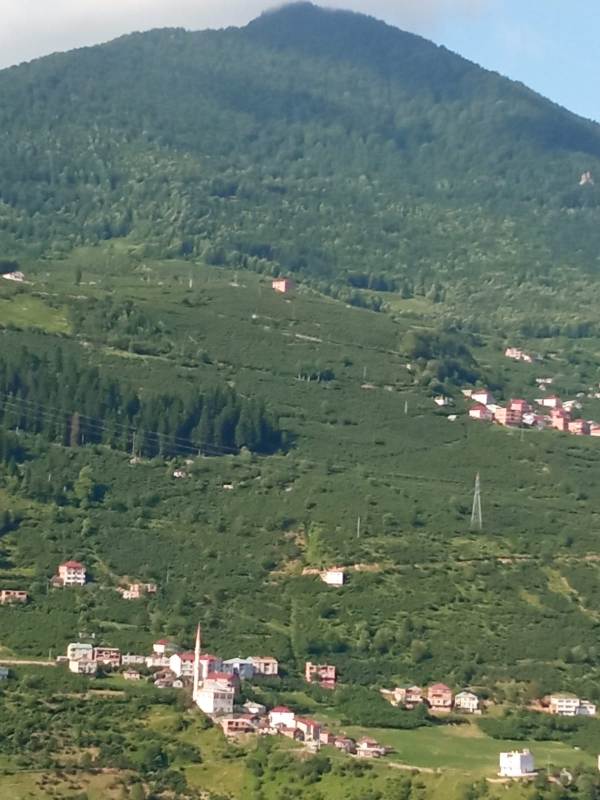 Yayla Resimleri-24