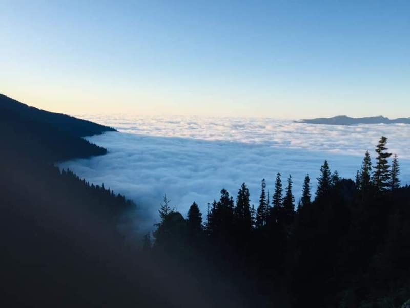 Yayla Resimleri-24