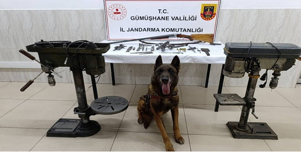 Kürtün'de ruhsatsız silah operasyonu